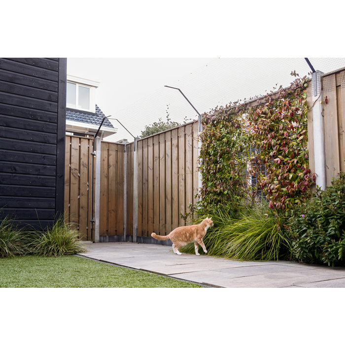 SPUUT Kattengaas 1 x 40 meter inclusief beugels - Voordeelset