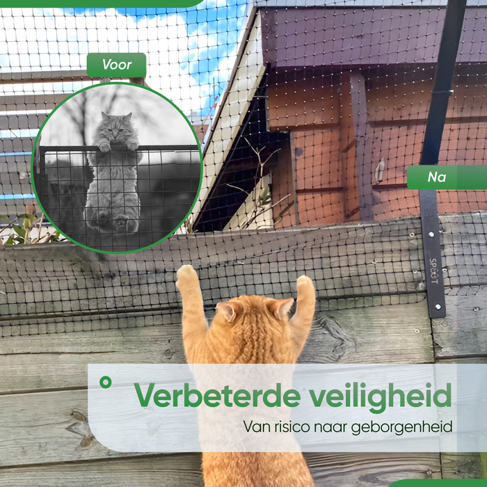 SPUUT Kattengaas 1 x 30 meter inclusief beugels - Voordeelset