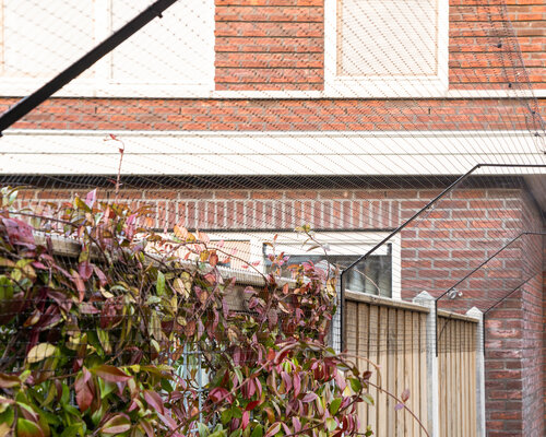 Waar op letten bij kattengaas bestellen? | Tips voor veiligheid