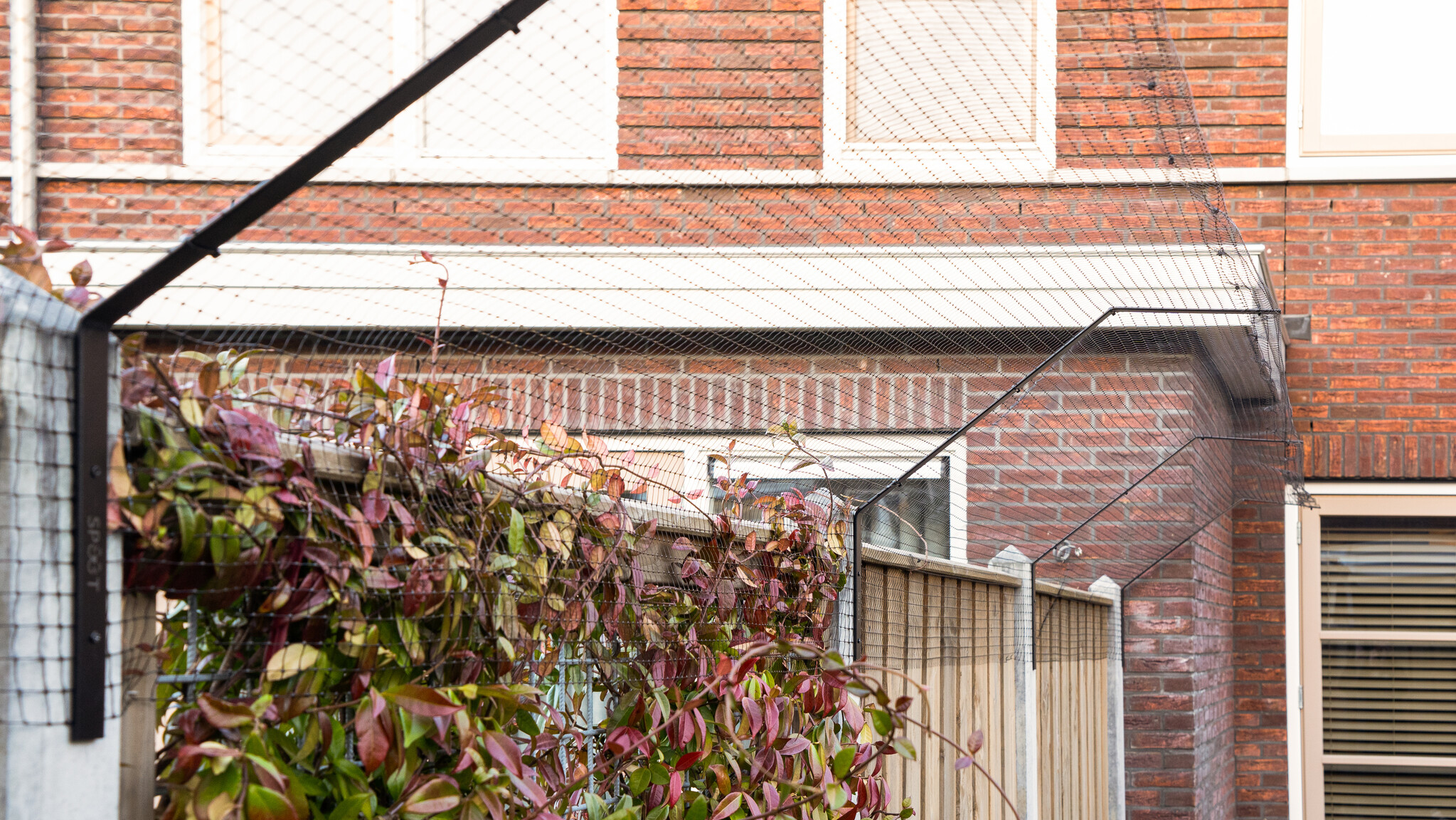 Waar op letten bij kattengaas bestellen? | Tips voor veiligheid