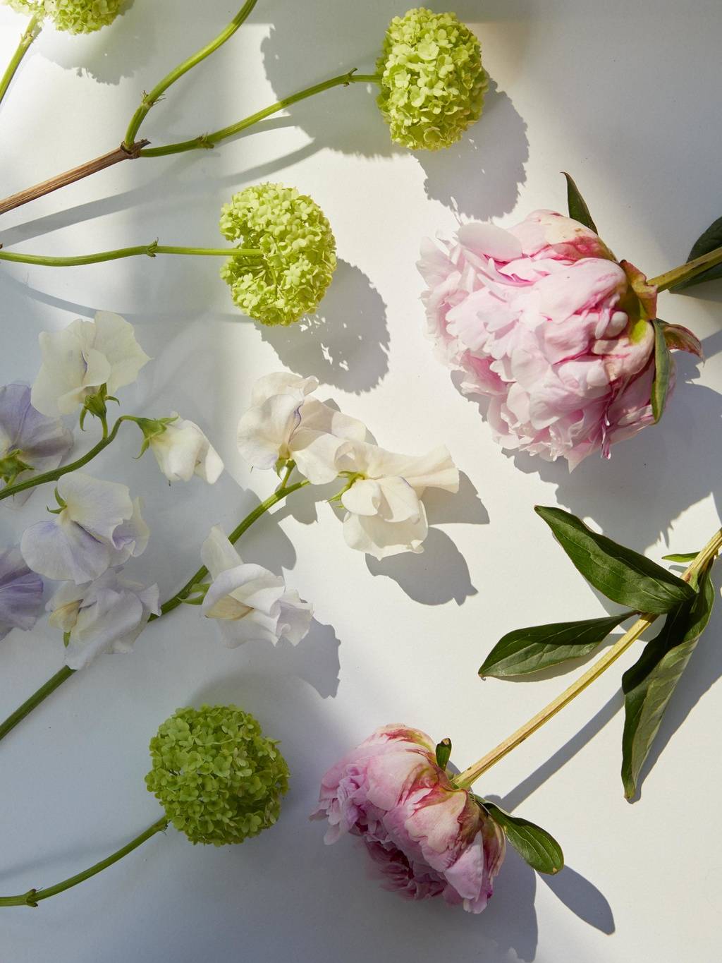 Ateliers Floraux