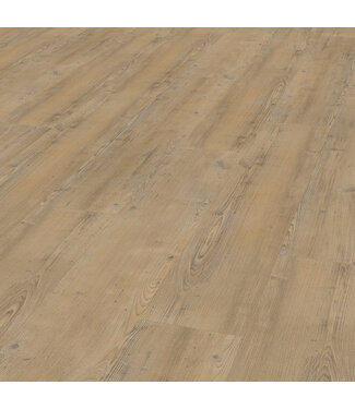 Vivafloors Vivafloors Naaldhout 4203 - Clickvariant