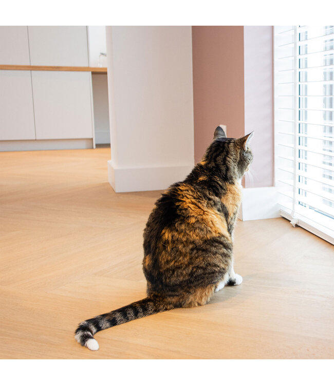 Vivafloors vivafloors-walvisgraat-7870