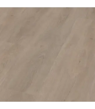 Floorlife Floorlife Parramatta dryback light oak