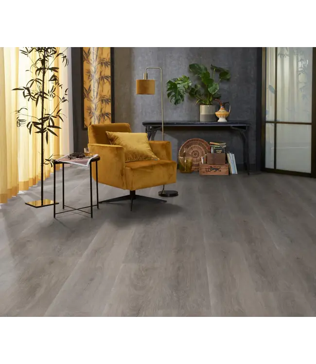 Floorlife floorlife-parramatta-dryback-grey-oak