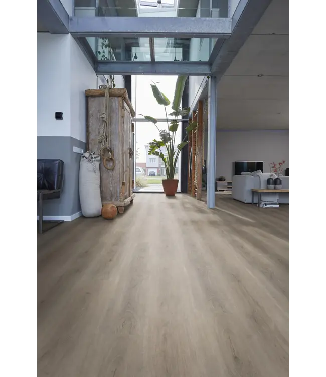 Floorlife floorlife-parramatta-dryback-light-grey