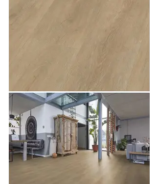 Floorlife Floorlife Parramatta dryback naturel