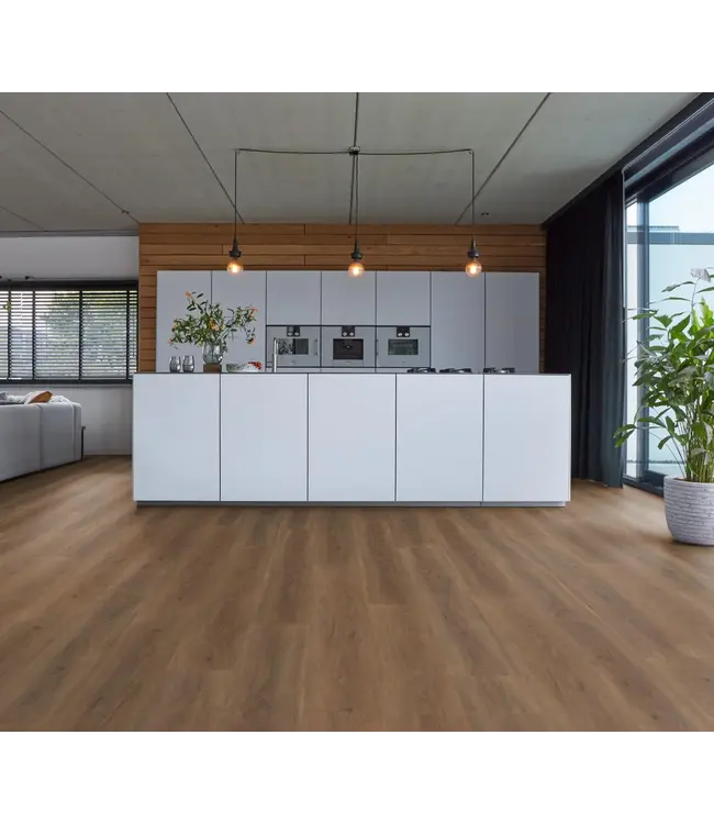 Floorlife floorlife-parramatta-dryback-warm-brown