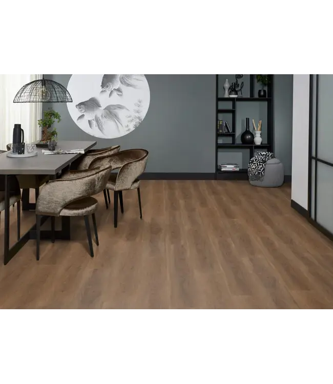 Floorlife floorlife-parramatta-dryback-warm-brown