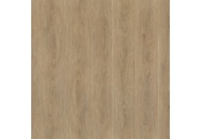 Floorlife Parramatta dryback natural oak