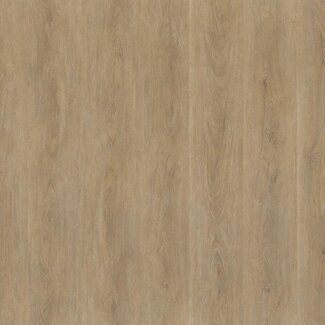 Floorlife Floorlife Parramatta dryback natural oak