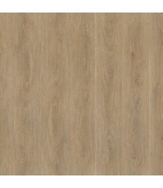 Floorlife Floorlife Parramatta dryback natural oak