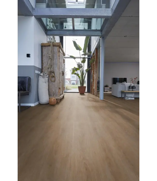 Floorlife floorlife-parramatta-dryback-dark-oak