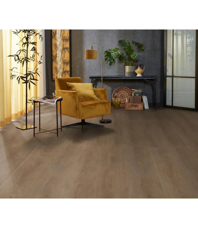 Floorlife floorlife-parramatta-dryback-dark-oak