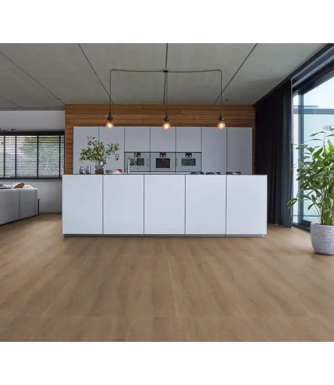 Floorlife floorlife-parramatta-dryback-dark-oak