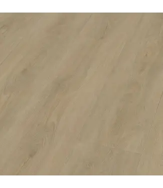 Floorlife Floorlife Parramatta dryback beige