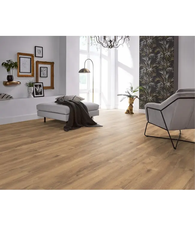 Floorlife floorlife-inwood-eiken-natuur-2422-laminaat