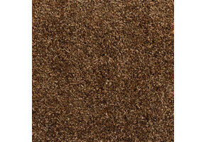 Entreemat functioneel bruin 100 cm breed