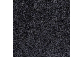 Entreemat functioneel antraciet 100 cm breed