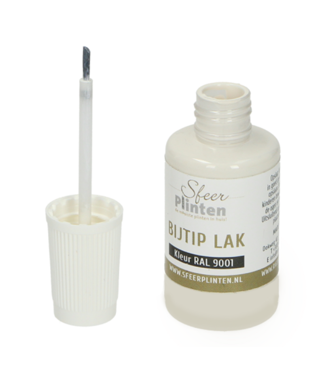 Sfeerplinten bij-tip-lak RAL 9005 - 20 ml