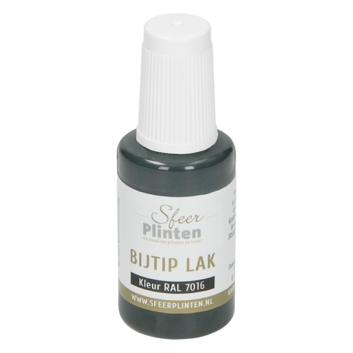 Sfeerplinten bij-tip-lak RAL 9016 - 20 ml