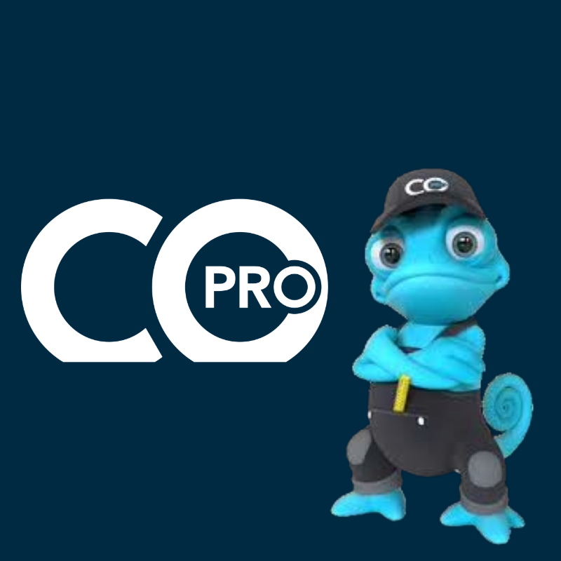 CO-Pro lijmen en kitten