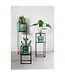 Archi plantentafelset 3