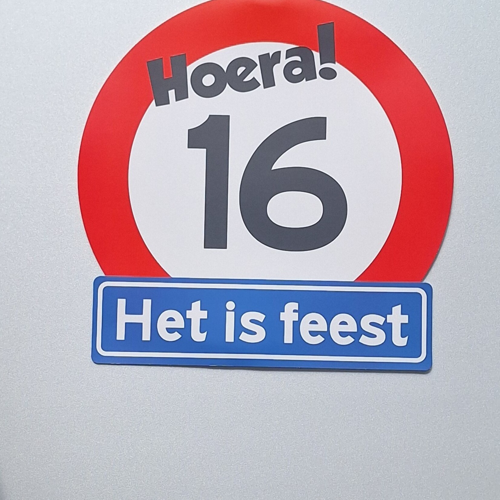 Party Planet Huldeschild 16 jaar