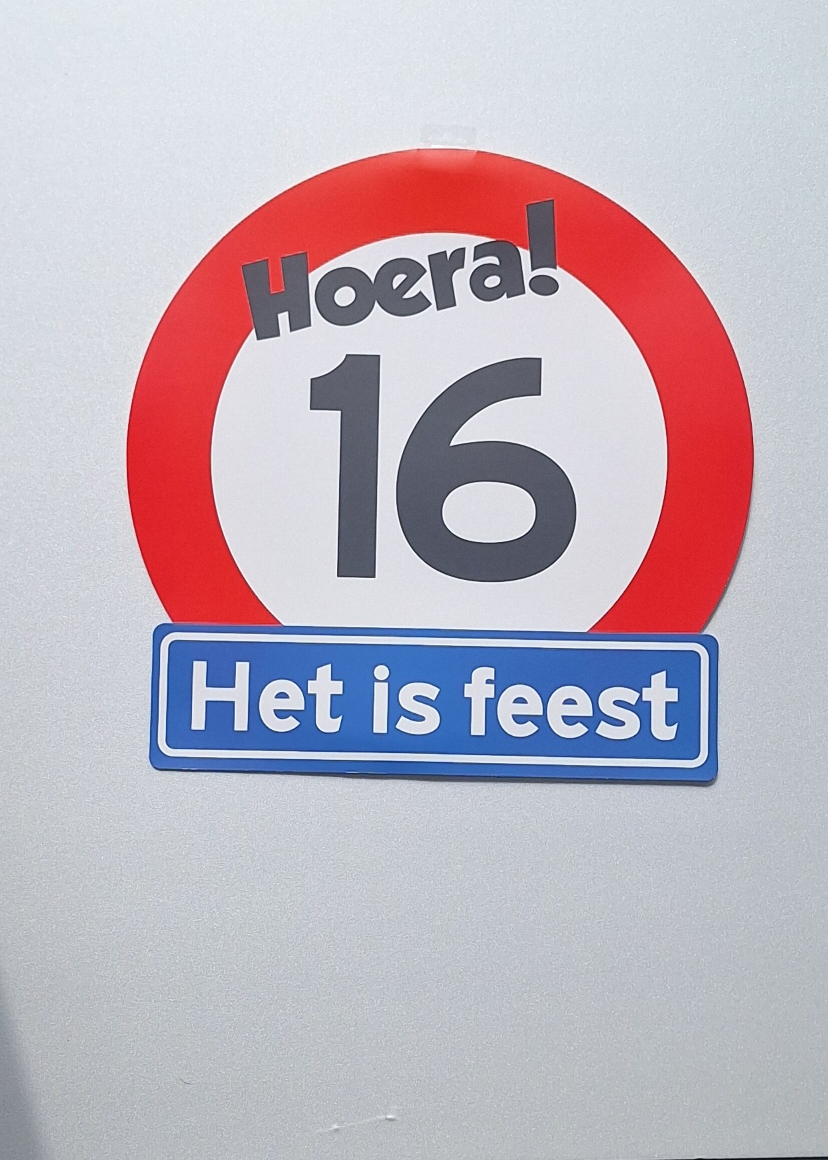Party Planet Huldeschild 16 jaar