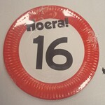 Party Planet Borden Hoera! 16