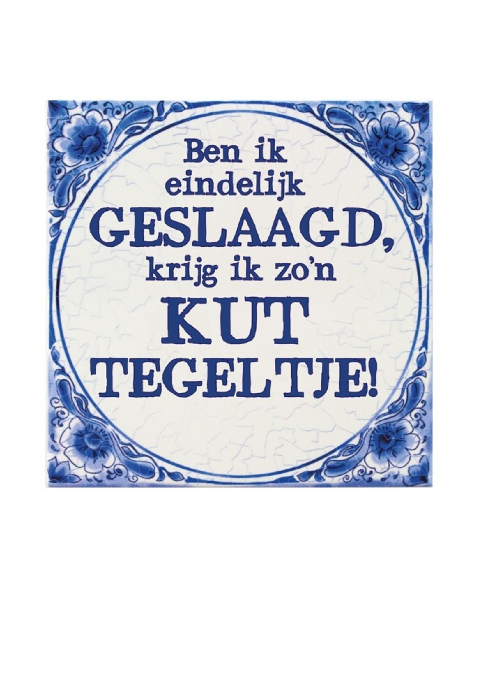 Party Planet Tegels delfts blauw - Geslaagd Kut