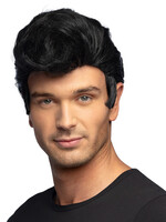 Party Planet Pruik Danny