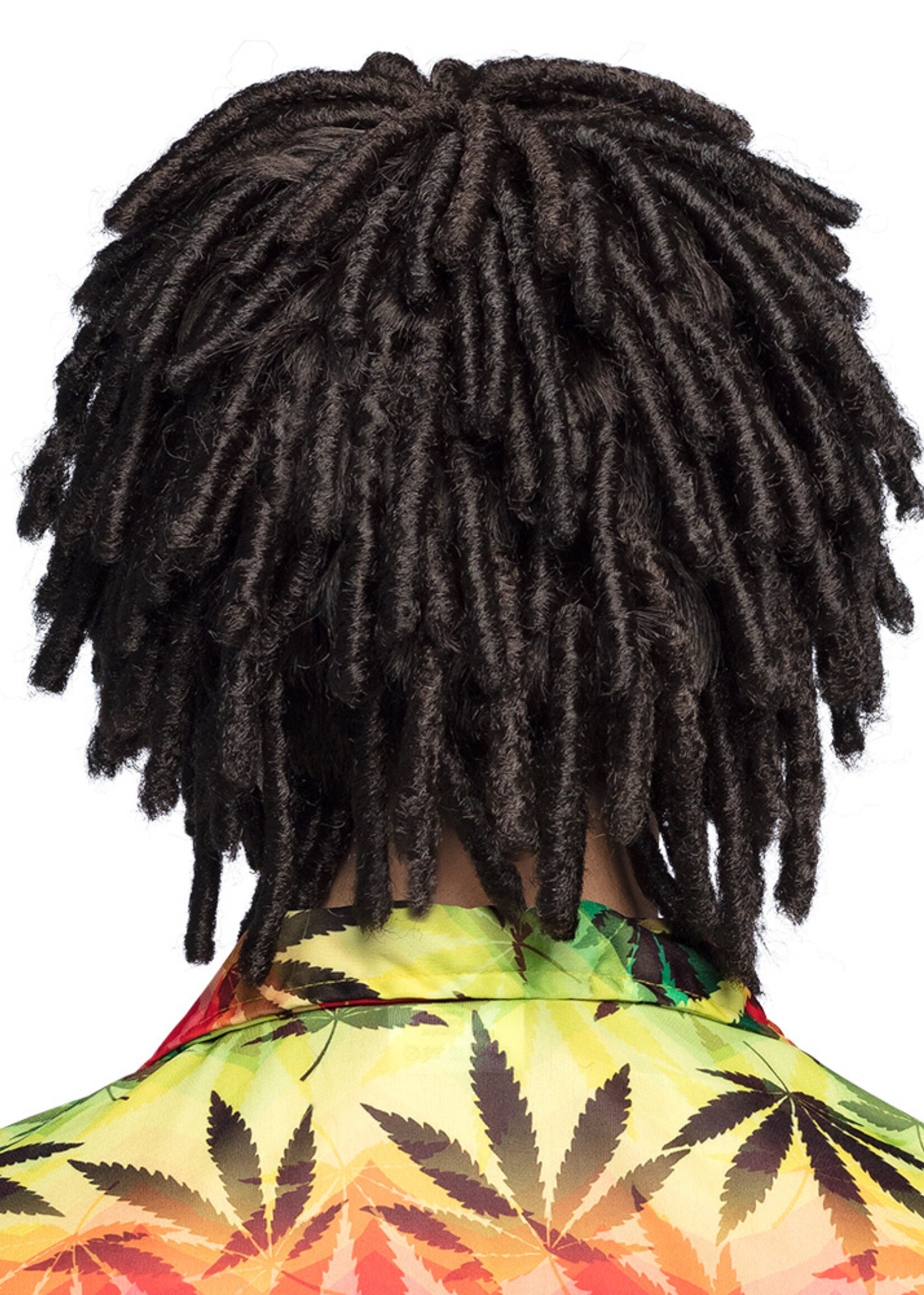 Party Planet Pruik Levi