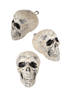 Party Planet Schedeltjes 6 stuks