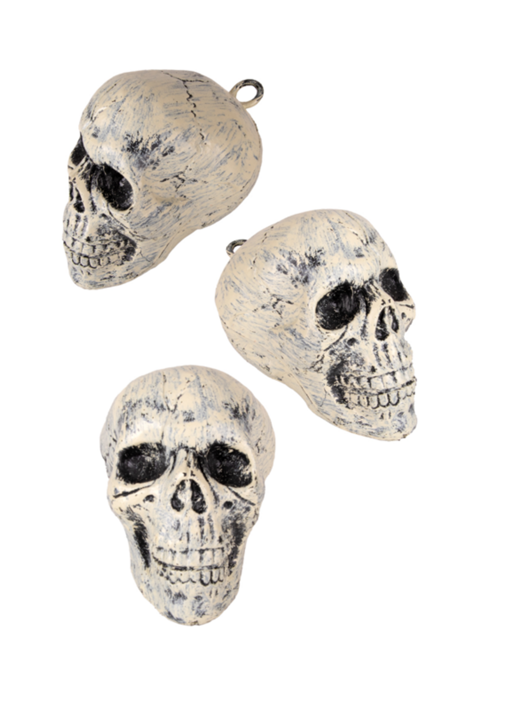 Party Planet Schedel