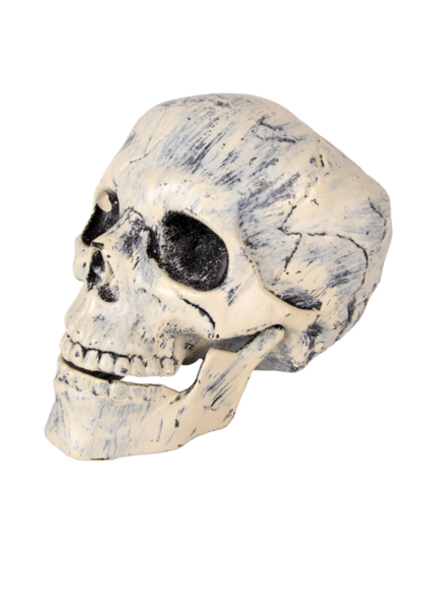 Party Planet Schedel