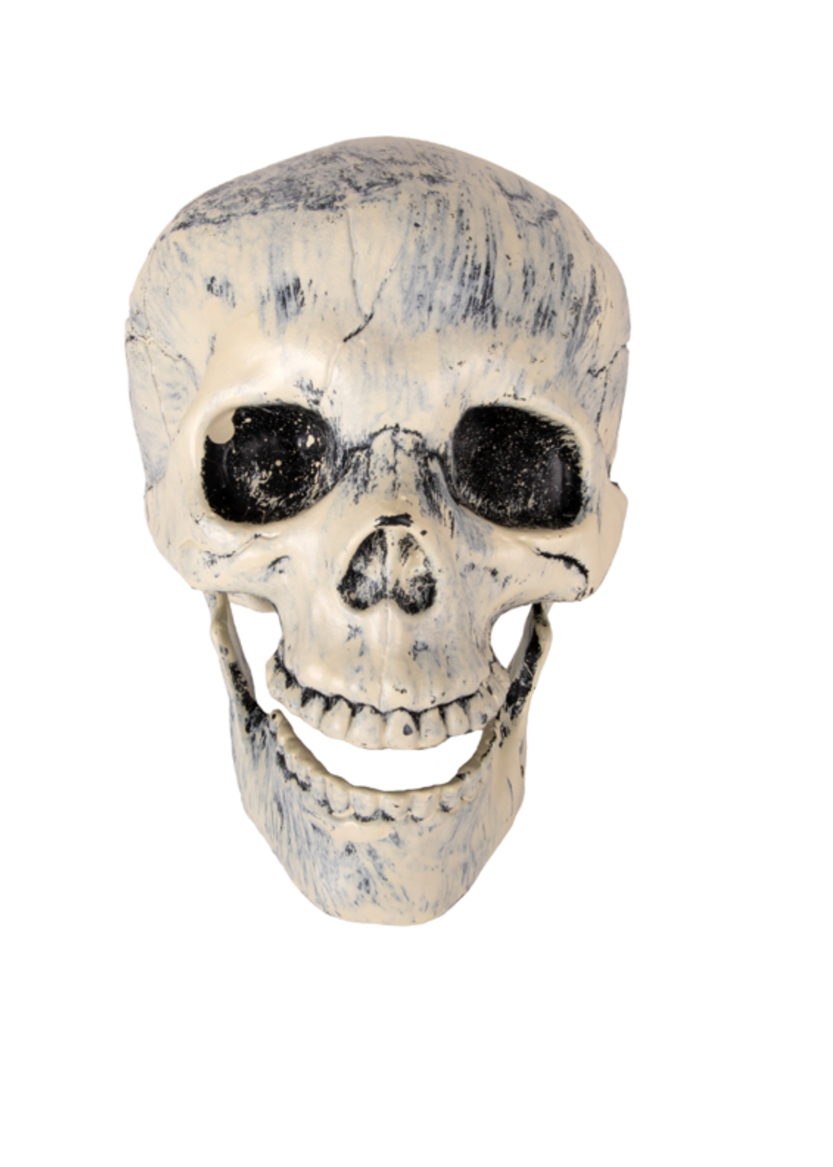 Party Planet Schedel