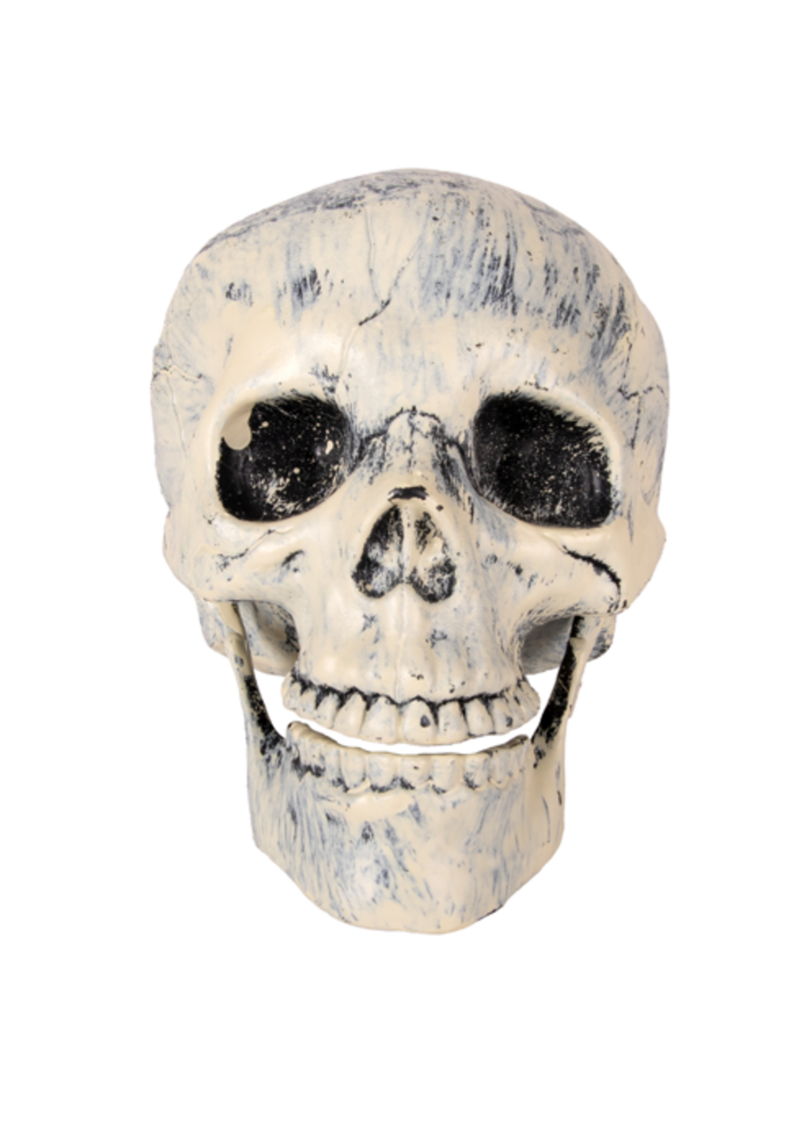 Party Planet Schedel