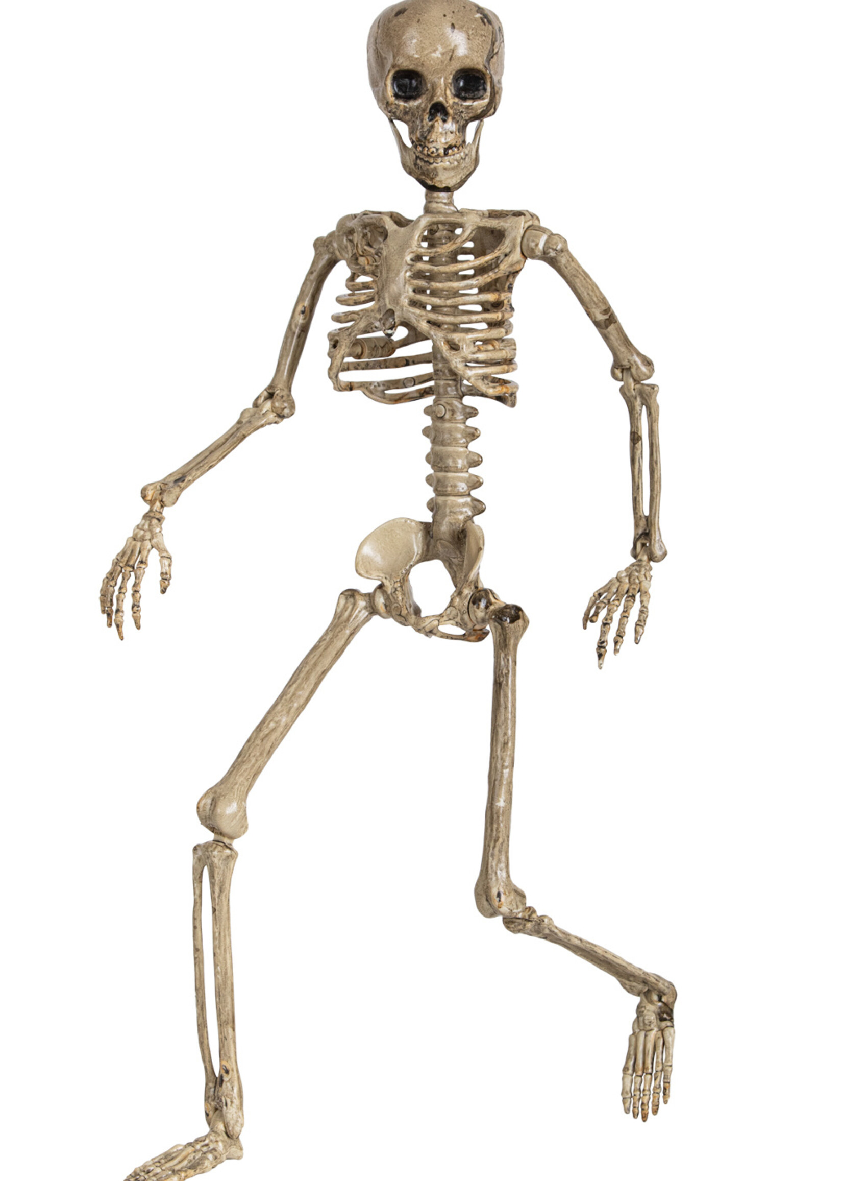 Party Planet Beweegbaar skelet aan touw