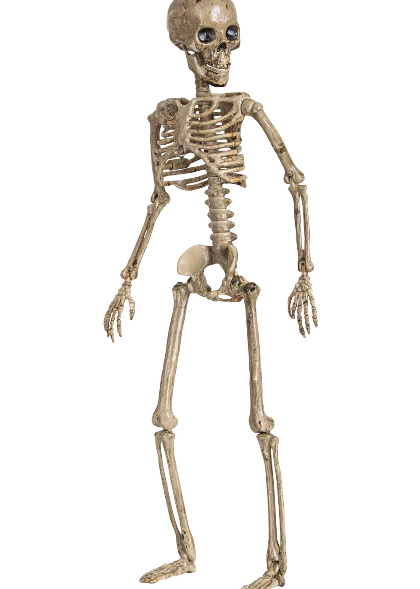 Party Planet Beweegbaar skelet aan touw