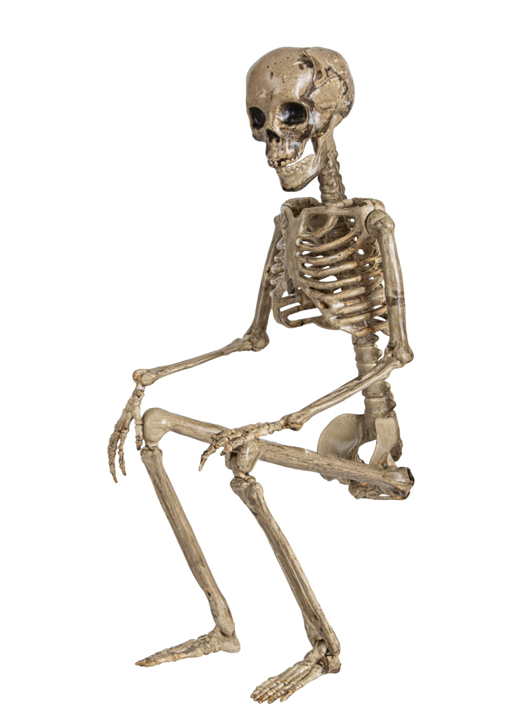 Party Planet Beweegbaar skelet aan touw