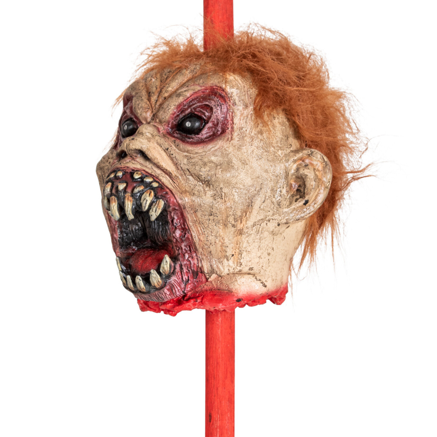 Party Planet Zombie hoofd op staak