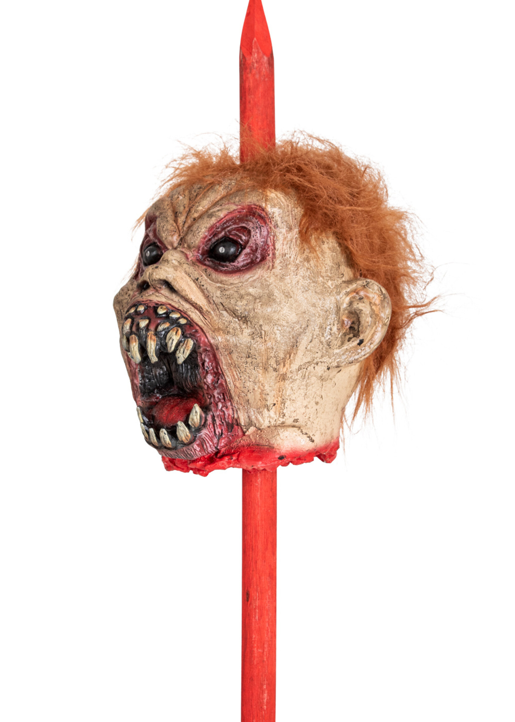 Party Planet Zombie hoofd op staak