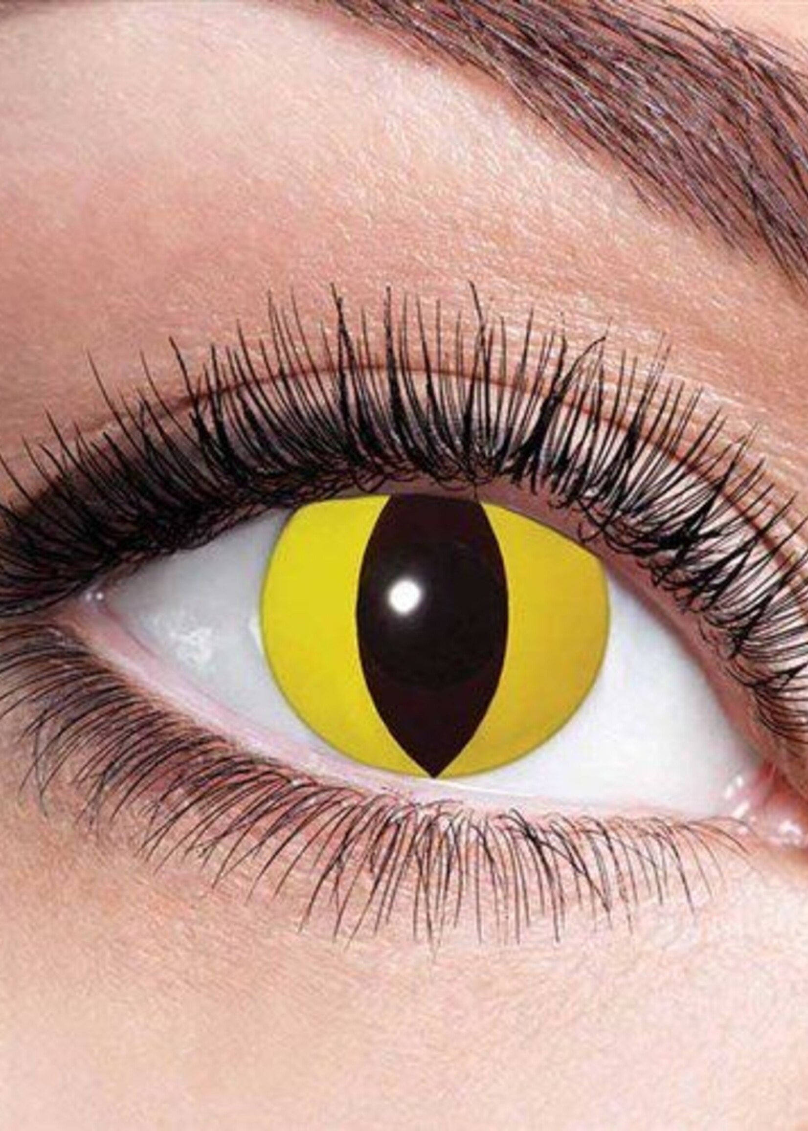 Party Planet Yellow cat maandlenzen