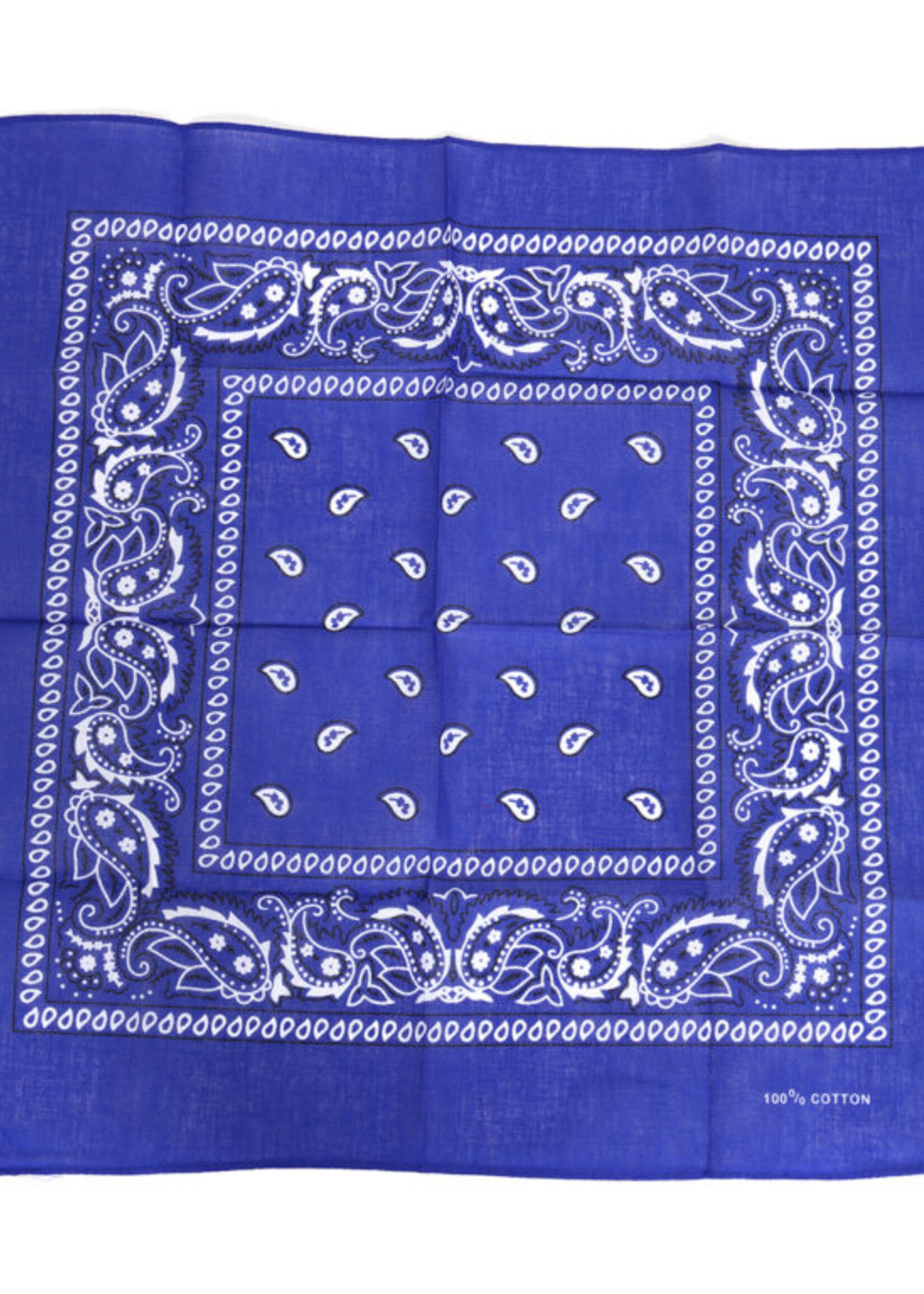 Party  Planet Zakdoek blauw