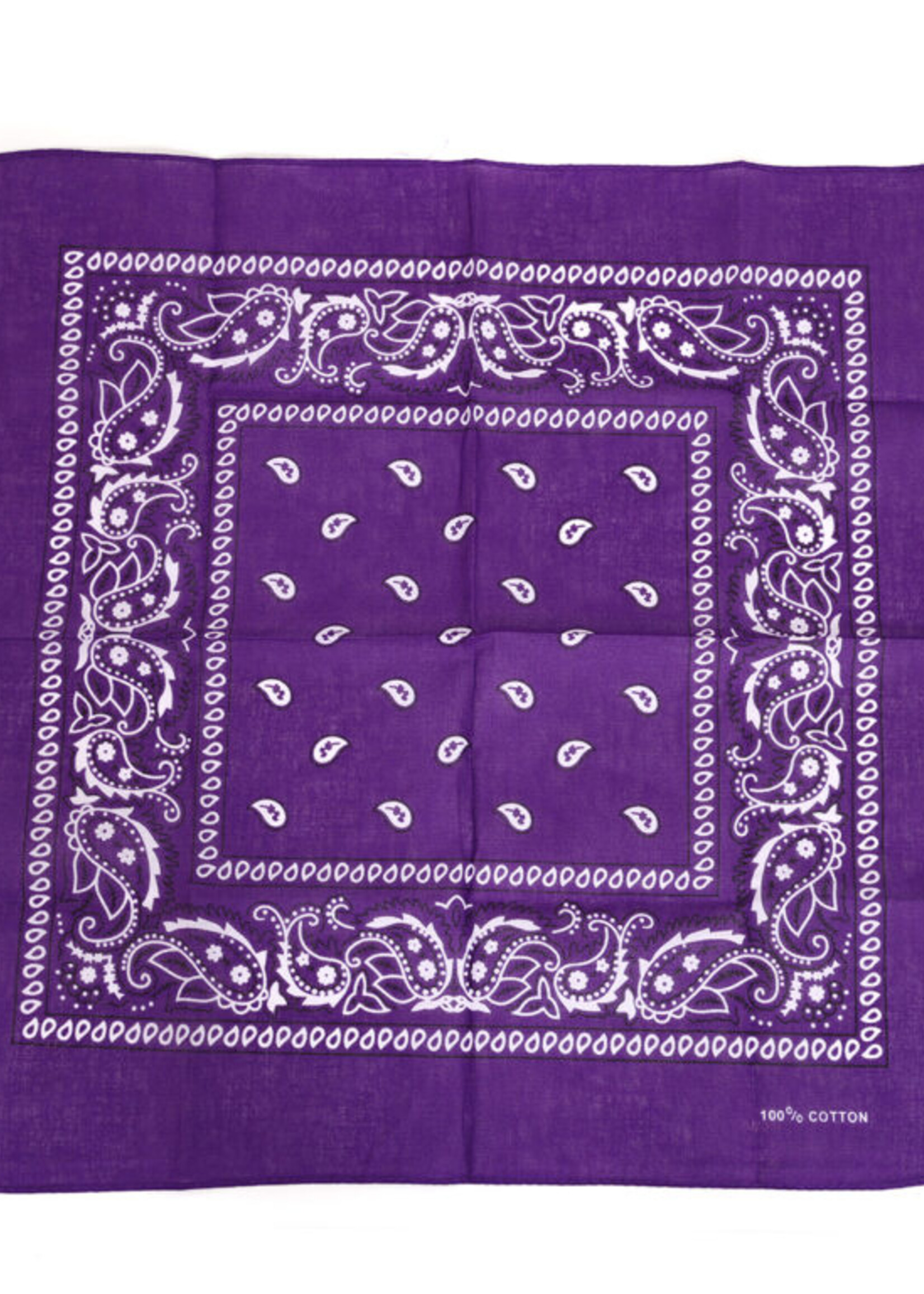 Party  Planet Zakdoek paars