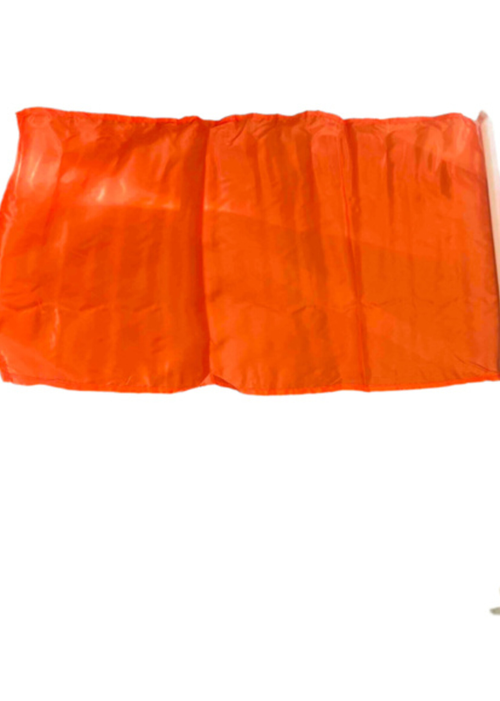 Party Planet Vlaggetje voor autoraam