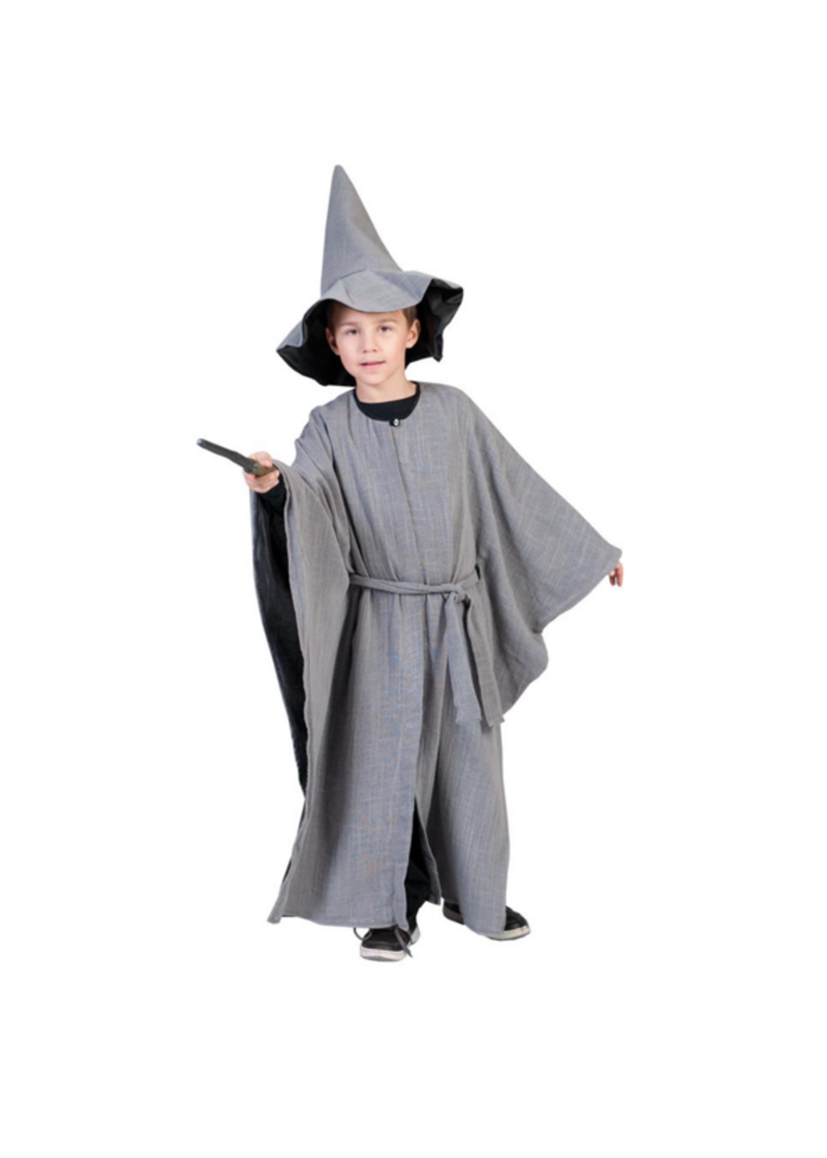 Party Planet Grijze tovenaar