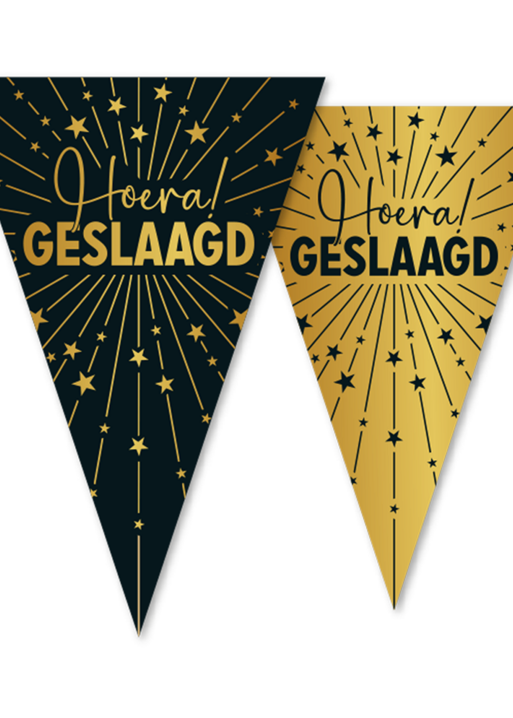 Party Planet vlaggenlijn PET 10m, Hoera Geslaagd Golden Celebrations