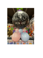 Party Planet Gender reveal '' Hij of Zij Prik mij''